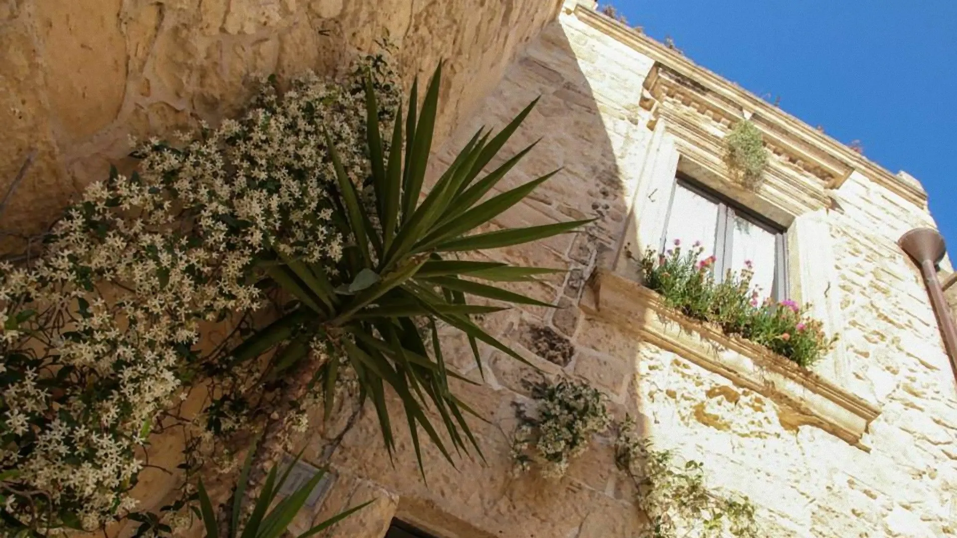 Chiesa Greca B&B Suites 莱切 酒店